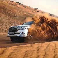 mdesertsafari