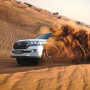 mdesertsafari