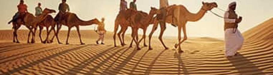 sdesertsafari