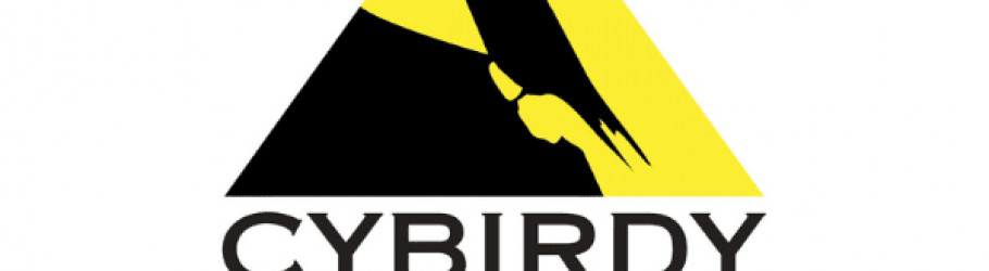 cybirdybook