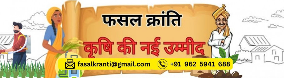 anshsharma
