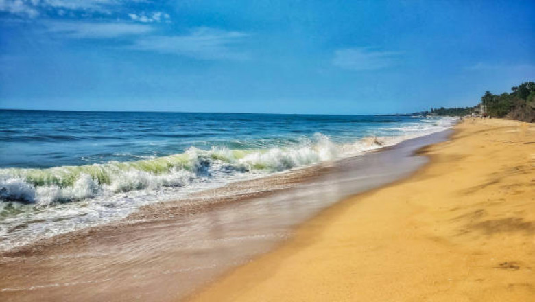Auroville Beach Pondicherry: Peace, Surf & Serenity Awaits