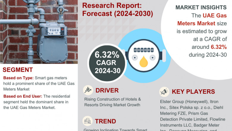 United Arab Emirates (UAE) Gas Meters Market Growth and Development Insight - Size, Share, Growth, and Industry Analysis