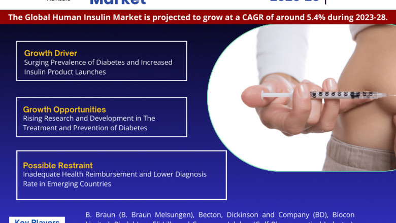 Human Insulin Market Growth and Development Insight - Size, Share, Growth, and Industry Analysis - MarkNtel Advisors