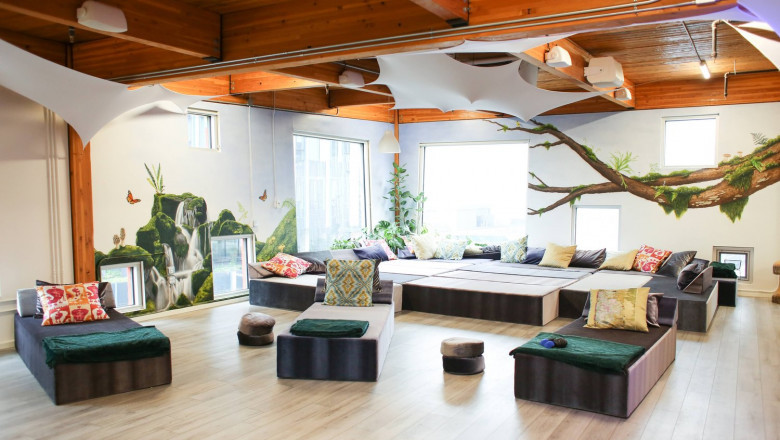Psychedelic Therapy Training Programs: Certification & Career Guide