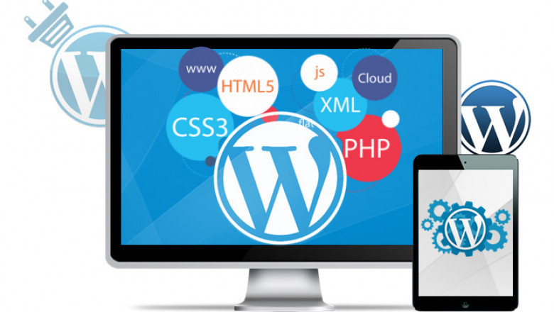 How a Web Design Toronto Company Can Drive Your Growth