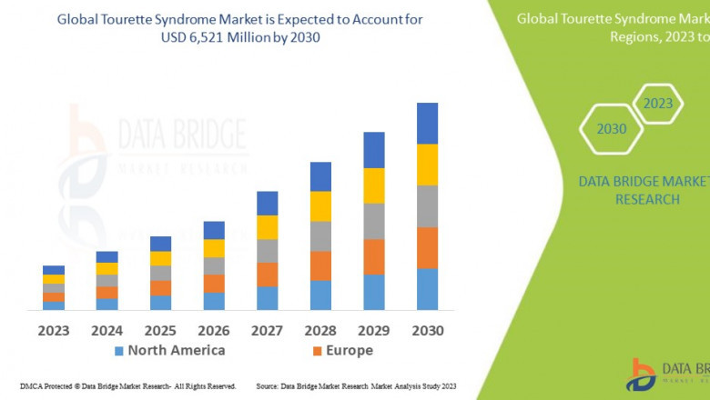 Tourette Syndrome Market Opportunities: Growth, Share, Value, Size, and Scope
