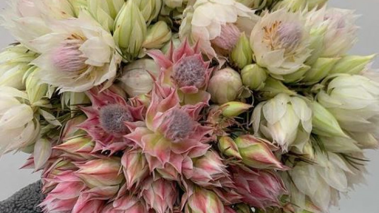 Order Flowers Online in Brighton with Bayleaves Florist