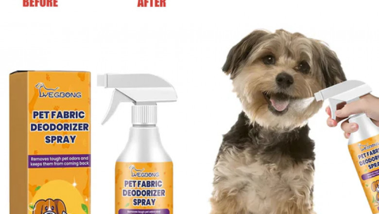 How to Keep Your Backyard Clean: The Best Tools for Pet Waste Removal