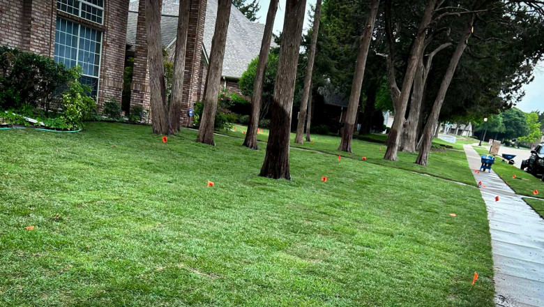 The Impact of Sod Installation on Property Value
