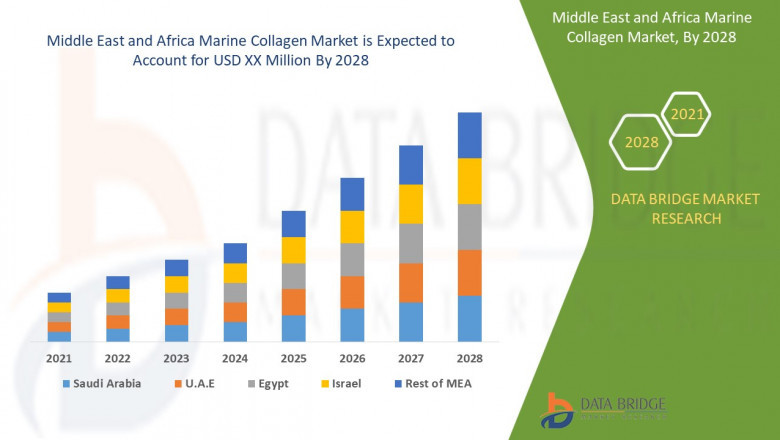 Middle East and Africa Marine Collagen Market Scope: Growth, Share, Value, Size, and Analysis