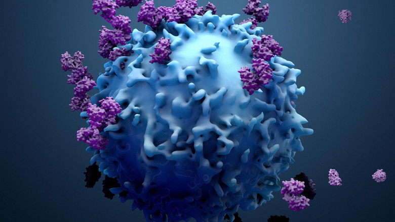 The Role of Cell Separation in Immunotherapy and Regenerative Medicine