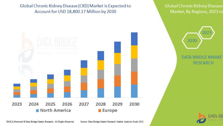 Chronic Kidney Disease (CKD) Market Experiences Growth Amid Rising Prevalence and Awareness