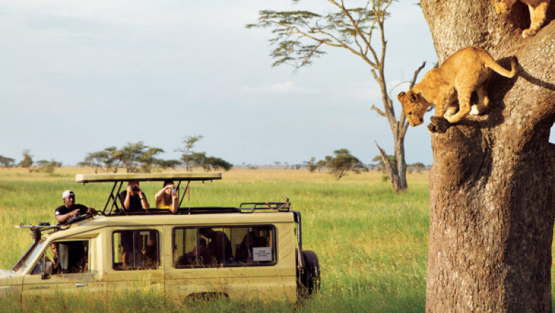 Discover Tanzania Differently: Your Ultimate Africa Safari Trip Awaits