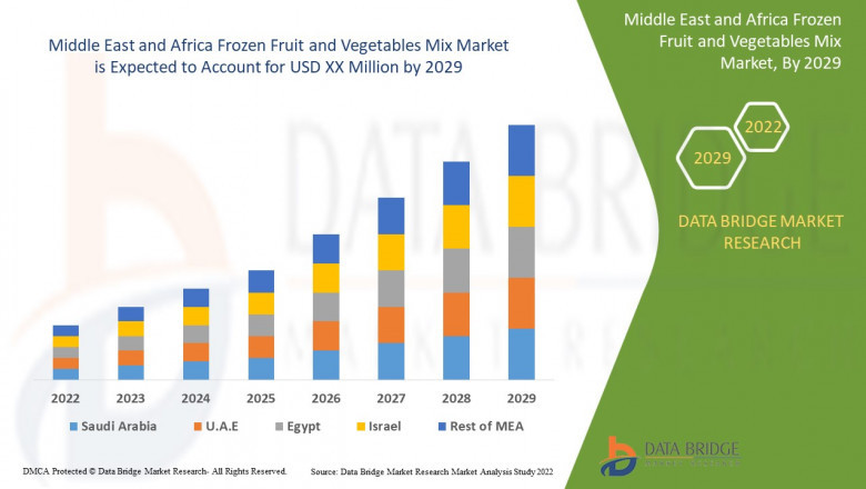 Middle East and Africa Frozen Fruit and Vegetables Mix Market Size, Share, Demand, Rising Trends, Growth and Global Competitors Analysis