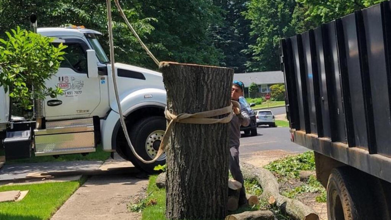 Transform Outdoor Spaces with Expert Tree Service and Patio Contractors