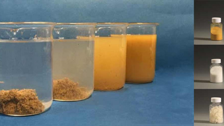 The Organic Coagulant Market: A Key Solution for Water Treatment and Environmental Sustainability