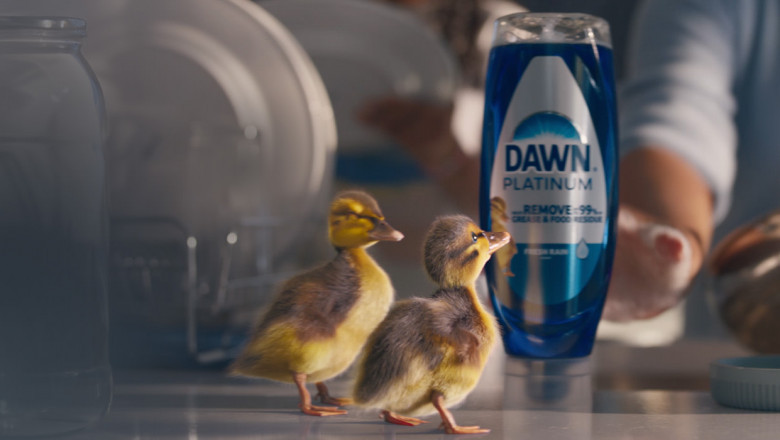 Is Dawn Detergent Safe for Pets and the Environment? A Closer Look