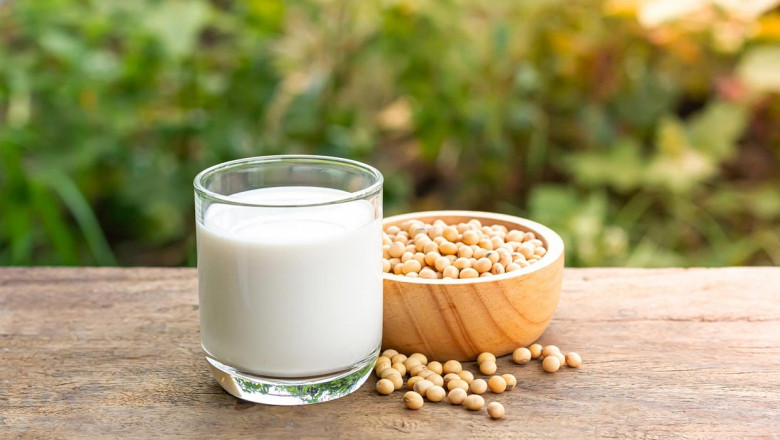 Project Report on Soya Milk Manufacturing Plant 2025