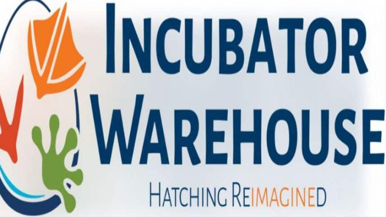 Discover the Best Quail Incubator Models of the Year