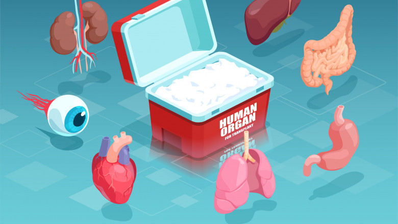 Exploring the Transplantation Market: Advancements and Future Prospects in Organ Transplants