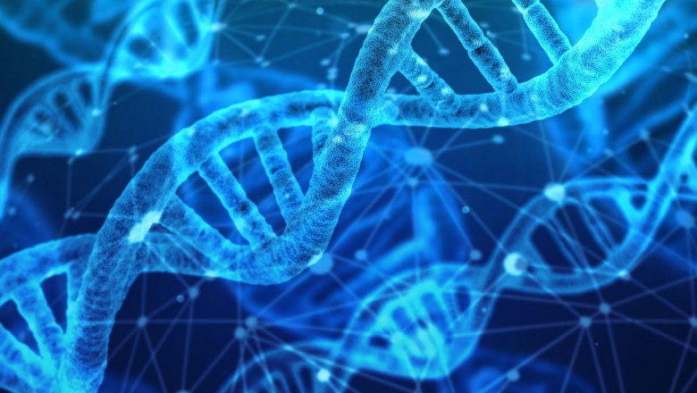 Preimplantation Genetic Diagnosis Market to Grow on Next-Generation Sequencing