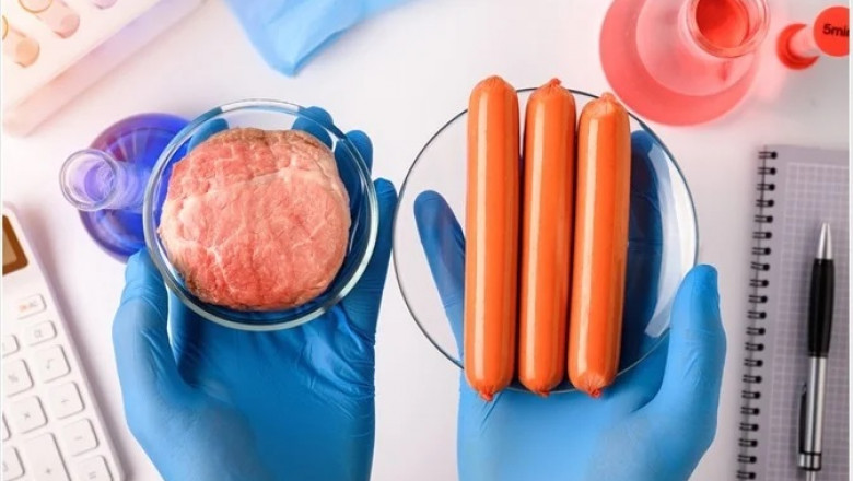 Synthetic Food Manufacturing Plant Cost 2025: Detailed Project Report, and Strategic Planning