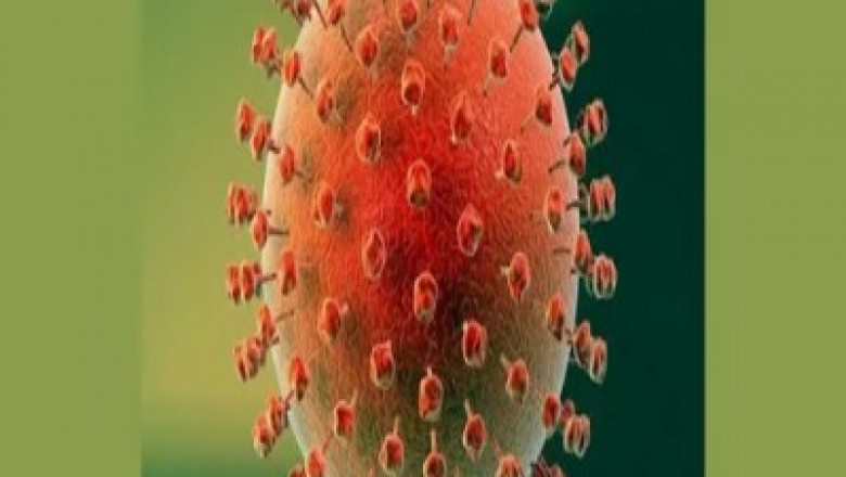 Herpes Simplex Virus Treatment Market to Grow via CRISPR Gene Editing