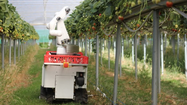 Revolutionizing Agriculture Exploring the Latest Advancements in Farming Techniques