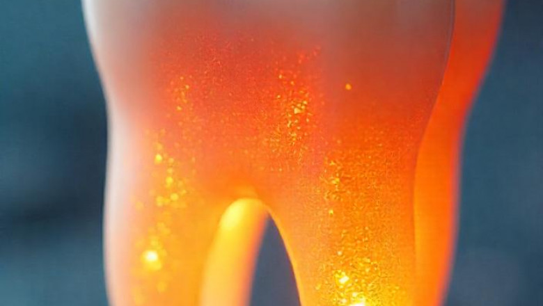 Your Comprehensive Guide to Largo Dental Offices: Discover Exceptional Care at Blue Dental Largo