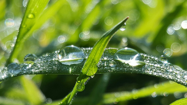 Dew Point Calculator | Understanding and Applying Humidity Science