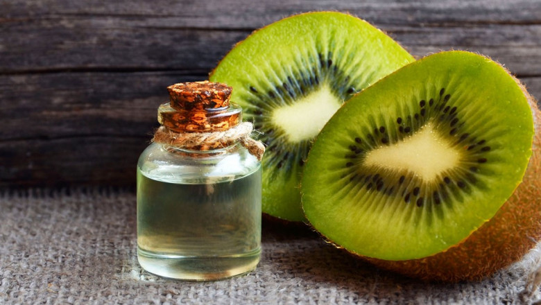 Machinery Requirements for Setting Up a Kiwi Seed Oil Processing Plant