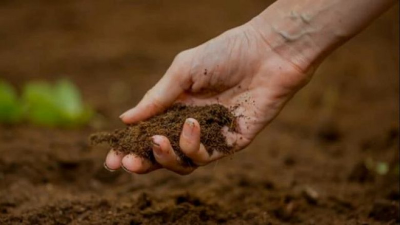 "Soil Health Innovations Reshape the Global Soil Amendments Industry"