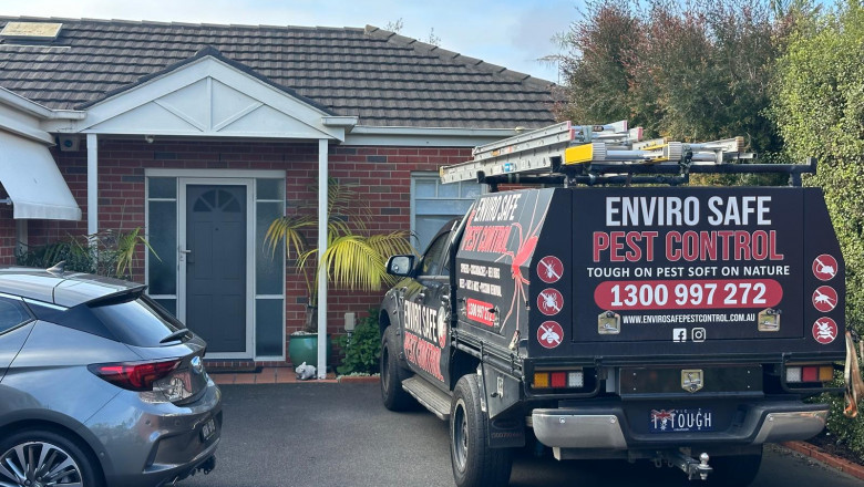 Melbourne’s Hidden Invaders: How to Handle Possums, Rats And Other Pests Before They Take Over