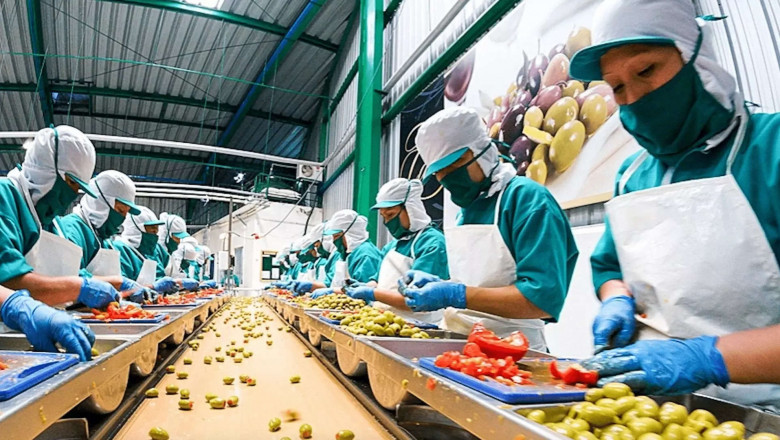 Food Processing Plant Cost Analysis Report | Machinery, Raw Materials and Investment Opportunities