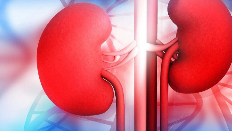 The Power of Kidney Disease Ayurvedic Treatment: Restoring Kidney Function Naturally- Aksa Ayurveda