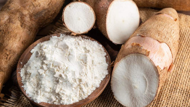 Cassava Starch Market Set to Soar with Novel Enzymatic Conversion Advances