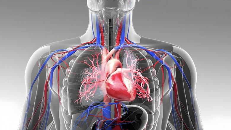 Cardiovascular Information System Market to See Growth from AI-Driven Analytics