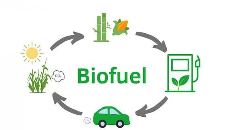 Biofuel Manufacturing Plant Project Report 2025: Raw Materials Requirement and Profit Margin