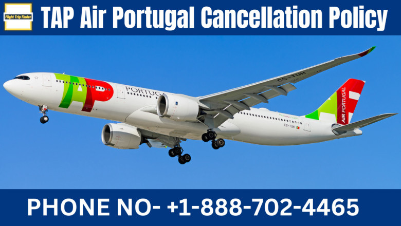 TAP Air Portugal Flight Cancellation Policy: Step-by-Step Process &amp; Terms