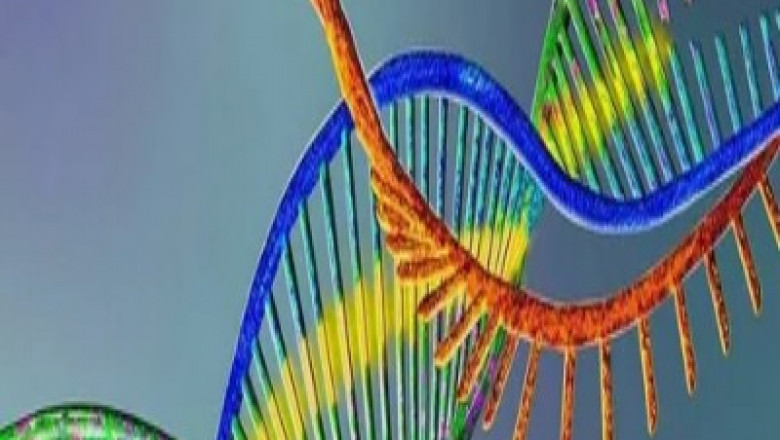 Spatial Genomics Transcriptomics Market Growth Through Innovation
