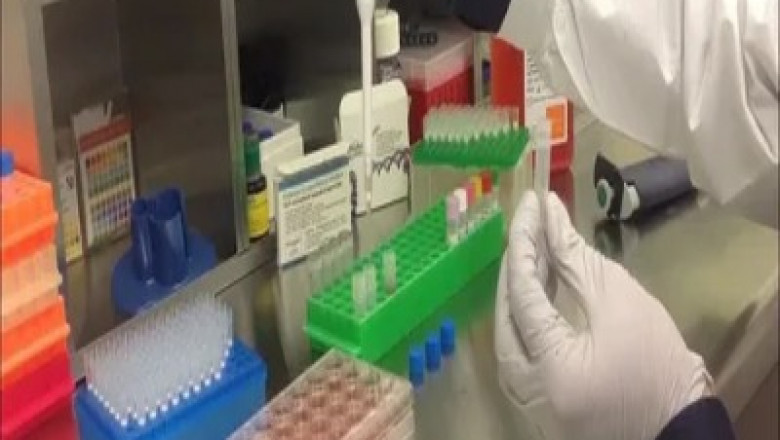 Transfection Reagents And Equipment Market Grows amid CAR-T Advances
