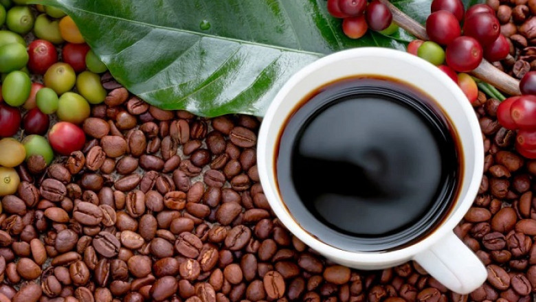 Cost Structure Of Organic Coffee Manufacturing: Machinery and Raw Materials Requirement