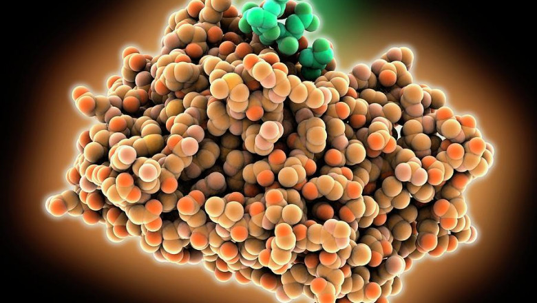 Epidermal Growth Factors (EGF): Unveiling the Potential in Skin Rejuvenation and Wound Healing