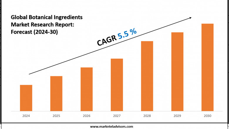 Botanical Ingredients Market Size &amp; Share 2030 Key Trends &amp; Projections