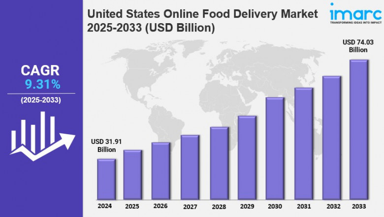 United States Online Food Delivery Market Report 2025 Edition: Industry Market Size, Share, Growth and Competitor Analysis