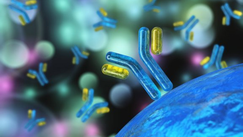 Antibody Discovery Market: Driving Global Biotechnology Innovations