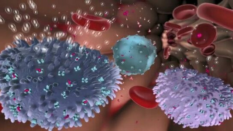 Global Complement Inhibitors Market Growth and Forecast Trends