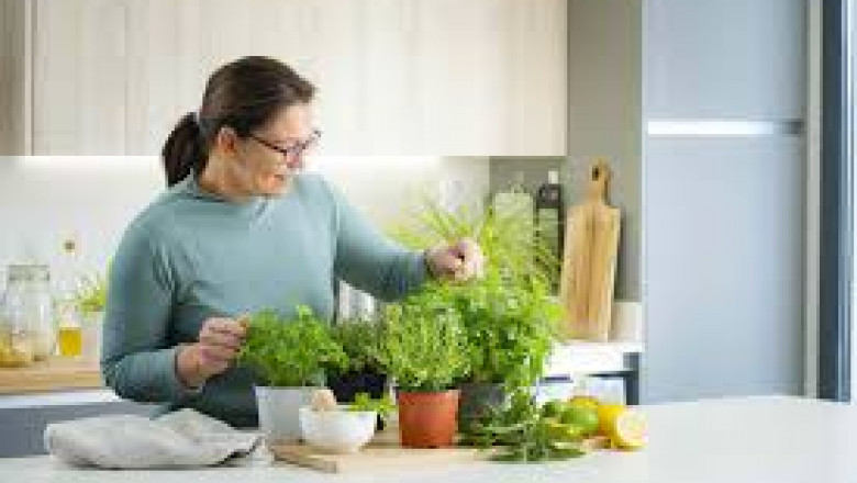 Can Herbs Really Help You Heal? The Science Behind Nature’s Pharmacy