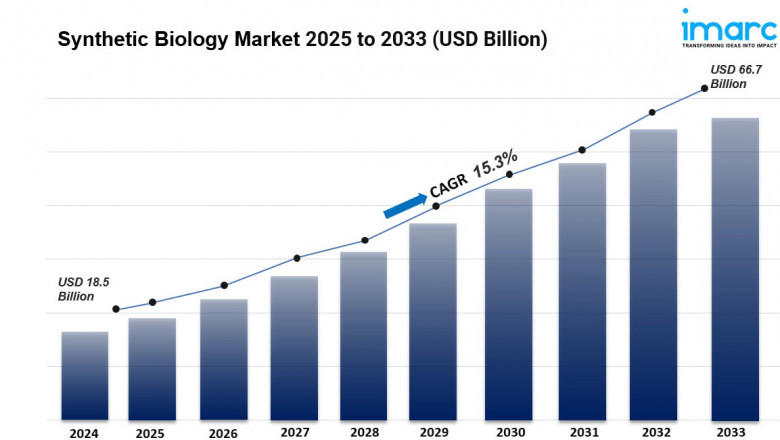 Global Synthetic Biology Market Size, Share And Growth Report 2025-2033